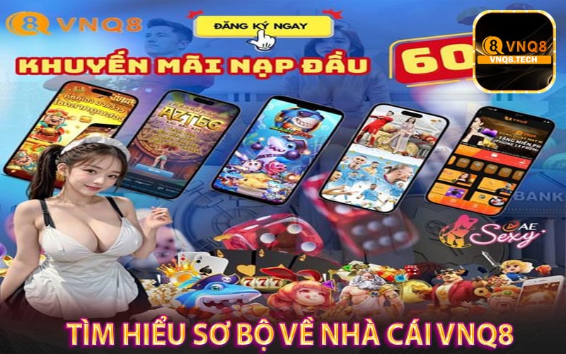 Tìm hiểu sơ bộ về nhà cái vnq8