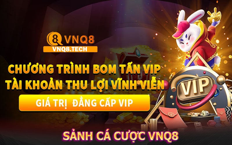 Tổng quan về sảnh cá cược vnq8