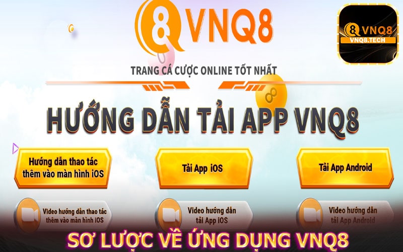 Khái quát sơ lược về ứng dụng vnq8
