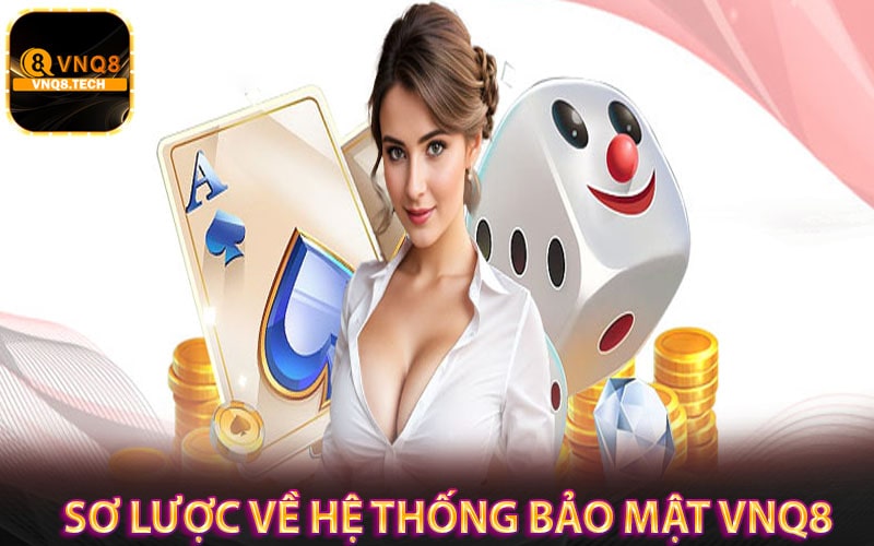 Sơ lược về hệ thống bảo mật vnq8
