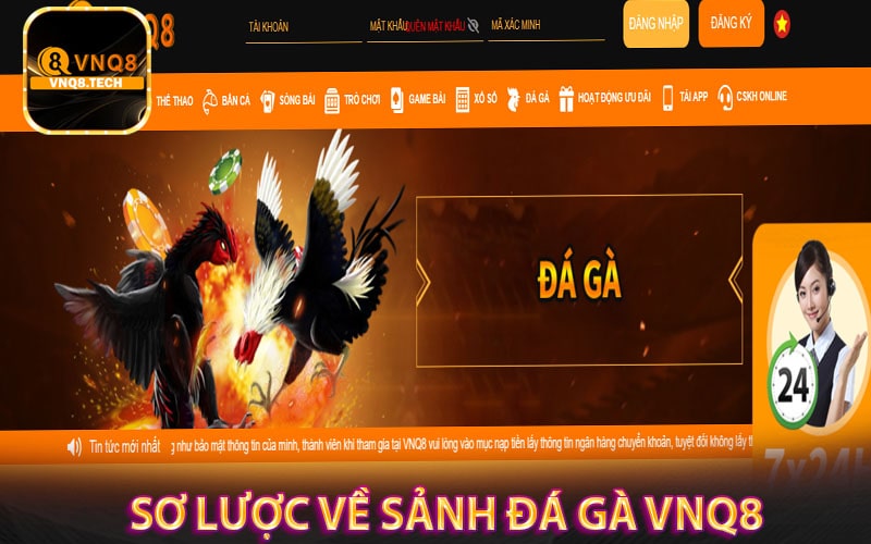 Sơ lược về sảnh Đá gà vnq8 