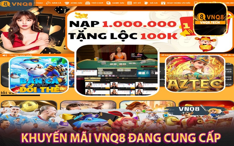 Những khuyến mãi vnq8 đang cung cấp