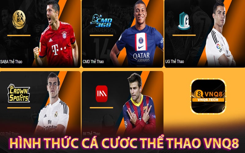 Hình thức cá cươc thể thao vnq8 cung cấp