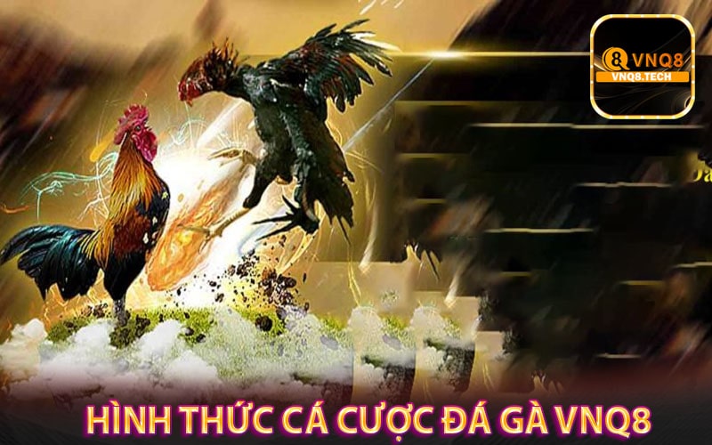 Hình thức cá cược đá gà vnq8 phổ biến 