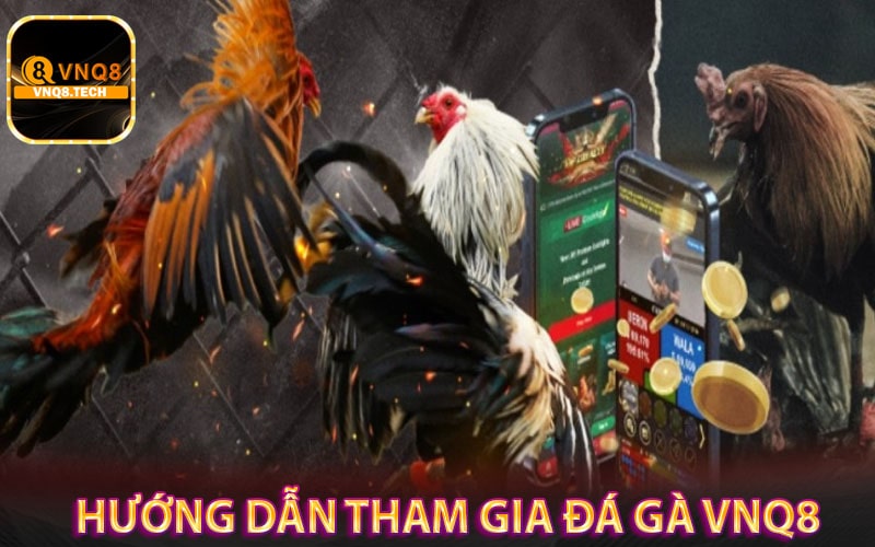 Hướng dẫn cách thức tham gia đá gà vnq8 