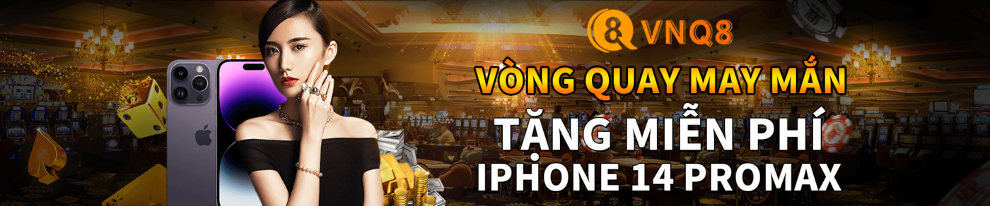 baner vnq8