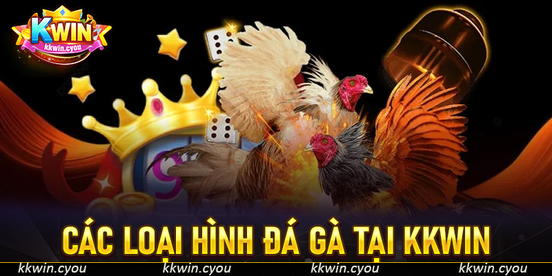 Các loại hình đá gà tại KKWIN