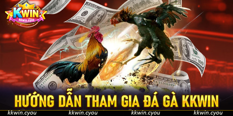 Hướng dẫn tham gia đá gà KKWIN