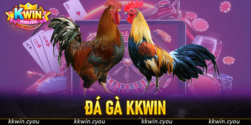 Đá gà KKWIN