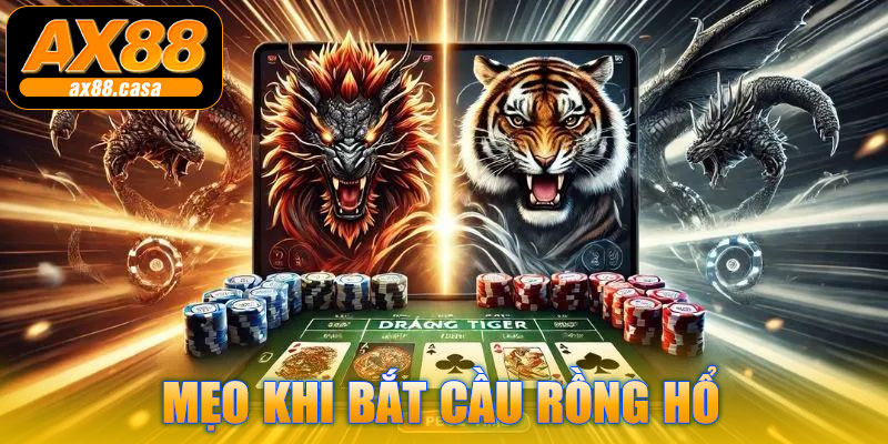 Mẹo khi áp dụng Cách Bắt Cầu Rồng Hổ AX88