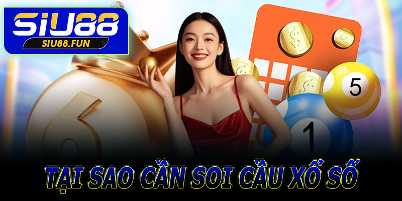 Tại sao cần soi cầu xổ số Siu88?
